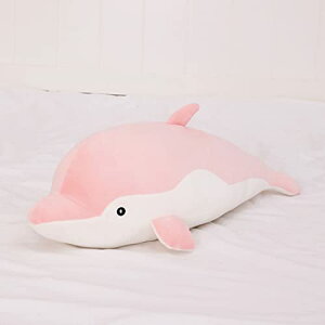 ʂ 傫   CJ C NbV _炩 ӂӂ   ʔMtg rO q a AjObY Mtg v[g 