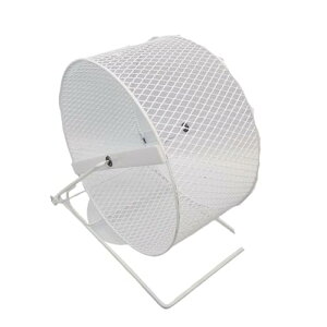 ~jnlY~ nX^ jOzC[nX^[ 񂵎ԕǊ|jOzC[TCgX|[cjOzC[pi É񂵎 TCgzC[ Â S