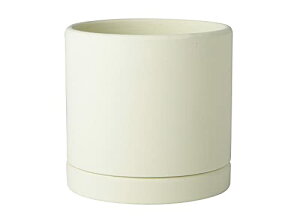 Aؔ ~`Z~bNAؔ 픫 ƉO̐AAؔ - rƃ\[T[tZ~bNAؔ ϗtA O[T{eAEh|bggCt (IW,17cm*