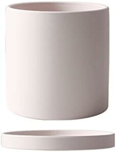 �A�ؔ� �� ���픫 �~�͔� �召�^�� �g���[�t�� ���t�� �ې��@�\ ������ꔫ �v�����^�[ ���A�� �����I�Ȓ� �T�{�e���� �����A�� ���� ���� �ϗt�A�� �Z�����g (9*9cm,�����s���N)