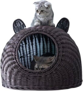 L ^ 傫 􂦂 LbgnEX h[    ~ ybgnEX h[^ L nEX xbh ʔN Lbgxbh  ې \ ҂ ʋC (u[,M)