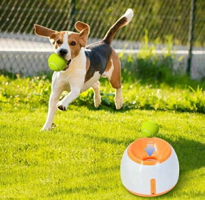 ybg {[`[ p{[ ejX{[`[   @ m炨 ^ ^p {[3t {[`[ ybĝ