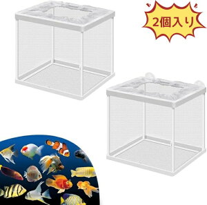 y2zt甠 YP[X 6*4*5cm d؂t ɐB  Y  z  zՕt tlbg @\ YɐBu{bNX Yώ@ P[X _J Obs[ Gr Mы 