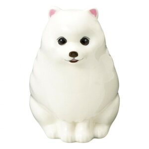 ZgNtg t[yX^h |jA P23-0793@킢̃t[&yX^h