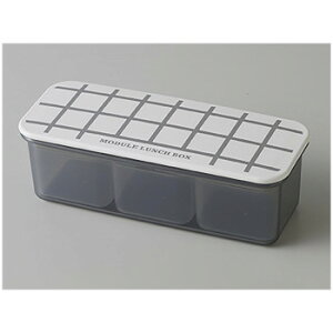 MODULE W[ LUNCH BOX ٓ S Obh O[ 24-462539@ٓpⓀHi郉`{bNX