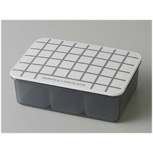 MODULE W[ LUNCH BOX ٓ L Obh O[ 24-462591@ٓpⓀHi郉`{bNX