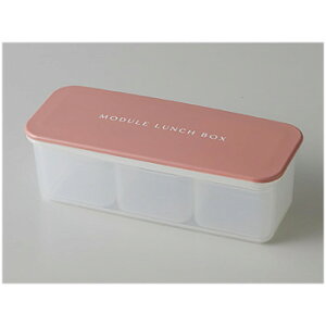 MODULE W[ LUNCH BOX ٓ S sN 24-462638 ٓpⓀHi郉`{bNX