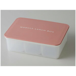 MODULE W[ LUNCH BOX ٓ L sN 24-462713 ٓpⓀHi郉`{bNX
