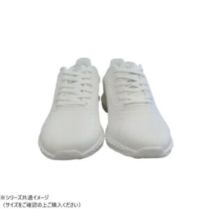 bL[x ʊw Cg zCg 24.5cm@ʊwɍœKȃAEghAV[Y