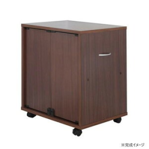 lp[S ʔ^Cv uE DSW-T60B@ړ炭炭AtňS