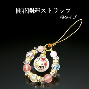 JԊJ^Xgbv ^Cv [ST_811]  [YNH[c `F[NH[c    ^C GlM[ Xs`A `N lC g WG[ h p[