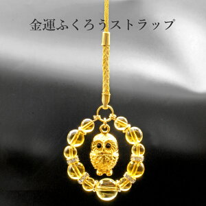 ^ӂ낤Xgbv  p[Xg[ Xgbv Y fB[X  nhCh   Ӗ ANZT[ Vg VR