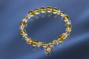 lt̃N[o[Eb`uX@  p[Xg[ uXbg  Y fB[X  nhCh   Ӗ ANZT[ NX^ Vg VR