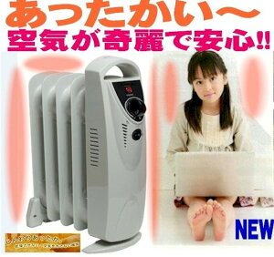 ^ICq[^[ ŏ ȃGl xߕt 500W ACe atoh363