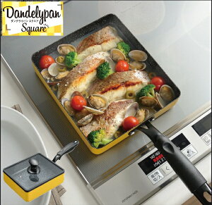 �t���C�p�� �_���f���C�p���X�N�G�A �@�l�p�@�W���@�K���X�W�@�t�^�t���@�K�X�R�����Ή��@IH�Ή��@�@22×19cm