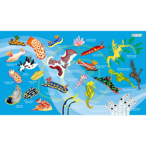 yX[p[SALE10%OFFzOceanarium C̐}CNt@Co[hC^I 140x80cm S10fUC z  R dȂȂZ[^I E~EV }{E NW T [C E~K I