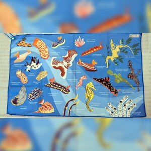 Oceanarium C̐}CNt@Co[nh^I 80x50cm S4fUC z  R dȂȂZ[^I E~EV }{E NW T I[ViE