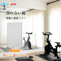 楽天市場】空手 トレーニング（鏡｜インテリア・寝具・収納）の通販