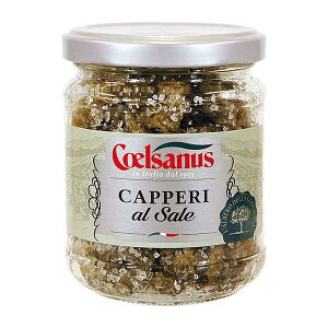 `FTkX Pbp[Ђ [r] 140g × 12[P[X̔][e C^A (rl) 005108] Mtg v[g hV̓ Ε Ε