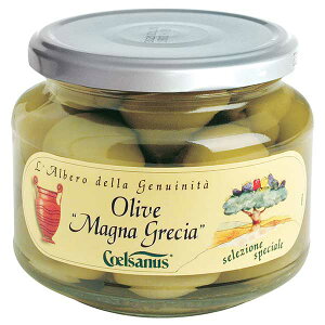 `FTkX O[I[u WCAg [r] 360g × 6[P[X̔][e C^A (rl) 005118] Mtg v[g hV̓ Ε Ε