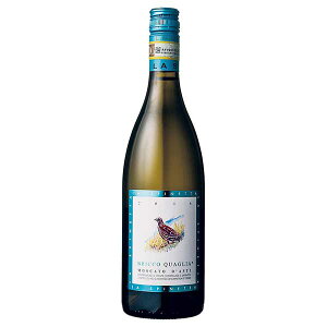 y|Cg2{ 11/1z Xslb^ ubR NA XJ[g _XeB XN[ 750ml ({B̂) [e C^A Xp[NOC 006881]Mtg v[g hV