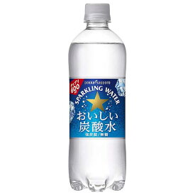 ポッカサッポロ おいしい炭酸水 [PET] 600ml x 48本[2ケース販売] 送料無料(沖縄対象外) [ポッカサッポロ 日本 飲料 炭酸水 水 大容量] ギフト プレゼント 敬老の日