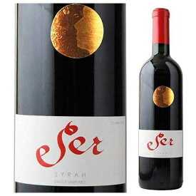 ヴィニャ マーティ セール シラー 750ml[21(TO) チリ 赤ワイン セントラル ヴァレー 2101340001851]