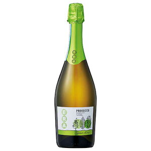 AE[ G vZbR I[KjbN GNXg hC 750ml[MT C^A Xp[NOC Flg h 611122]Mtg v[g hV̓ NX}X Ε