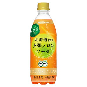 y|Cg2{ }\ԌzkC[\[_ [PET] 500ml x 24{[P[X̔][|bJTb| {  WV57]Mtg v[g hV̓ NX}X Ε