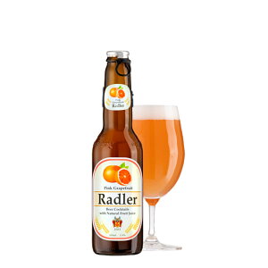 y|Cg2{11/14`11/16z h[ sNO[vt[c 2x [r] 330ml x 24{[P[X̔] ({B̂) [NB Ar[ I[XgA]