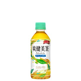 爽健美茶 [ペット] 300ml x 48本 [2ケース販売] 送料無料 【代引き不可 クール便不可 同梱不可】 ギフト プレゼント 敬老の日