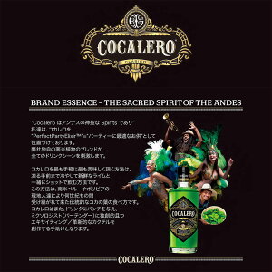 【送料無料】コカレロCOCALERO29度700ml選べるコカレロボムグラスorショットグラス各2個付き
