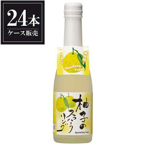 y|Cg2{ }\ԁ10/10zۓq Mq̃Xp[NO 250ml × 24{ [P[X̔] [nNC s{{  OKN]Mtg v[g hV̓ NX}X Ε