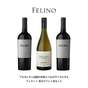 CZbgA[` h[TCi[ Ԕ3{Zbg B[j R{X tF[m ({B̂) [WTS A[` h[T CZbg wine ݔ] Mtg v[