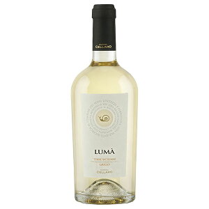 JeB[i `F[ [} Ob 750ml x 2{ ({B̂) [NL C^A V`A C h 2621CE061500] Mtg v[g hV̓ Ε Ε