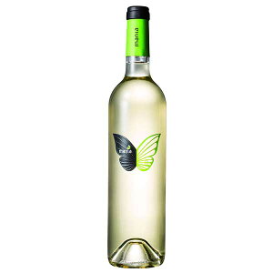 �{�f�K�X �t�F���b�N�X �������\ �J�`���b�\ �}�j�A �x���f�z �� 750ml [UL �X�y�C�� �����C�� SW083]�M�t�g �v���[���g ���蕨 ���j�� ���j�� ���Ԃ� �a�����v���[���g ���̓� �h�V�̓�