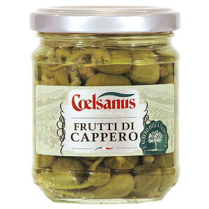 `FTkX tbeB fB Jby [r] 200g × 12[P[X̔][e C^A (rl) 005125] Mtg v[g hV̓ Ε Ε