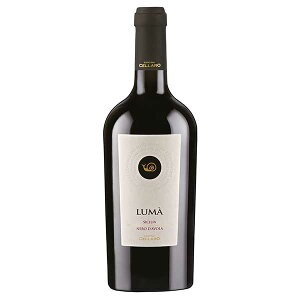 JeB[i `F[ [} l[ _[H 750ml ({B̂) [NL C^A ԃC V`A t{fB 2621CE041800] Mtg v[g hV̓ Ε Ε