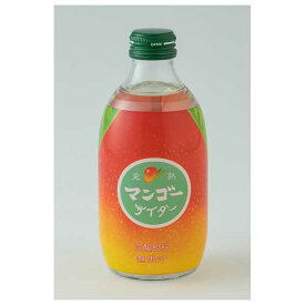 友桝 マンゴーサイダー [瓶] 300ml x 24本[ケース販売] 送料無料(沖縄対象外) [友桝 飲料 日本 2101095]