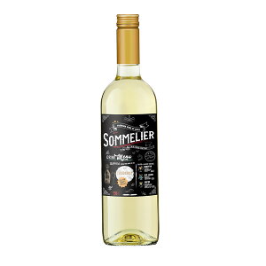 y|Cg2{ }\z\G Vhl 750ml[m ` C 20002319] Mtg v[g hV̓ Ε