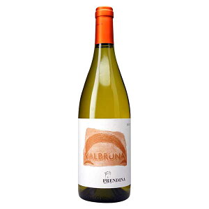 y|Cg2{ 11/1z vfB[i \[Bj @u[i 750ml [t C^A C ofBA h I077] Mtg v[g hV̓ Ε