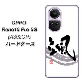 SoftBank OPPO Reno10 Pro 5G A302OP ハードケース カバー 【OE827 颯 UV印刷 素材クリア】