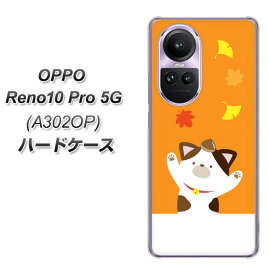 SoftBank OPPO Reno10 Pro 5G A302OP ハードケース カバー 【TA018 秋みけ UV印刷 素材クリア】