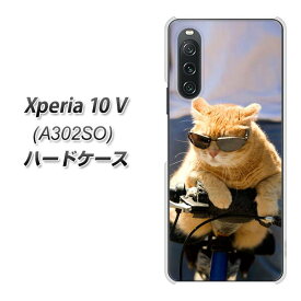 SoftBank Xperia 10 V A302SO ハードケース カバー 【595 にゃんとサイクル UV印刷 素材クリア】