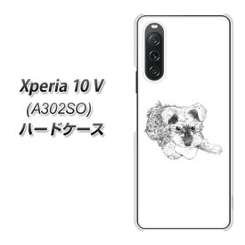 SoftBank Xperia 10 V A302SO ハードケース カバー 【YJ188 シュナウザー 手描き 子犬 犬 かわいい UV印刷 素材クリア】