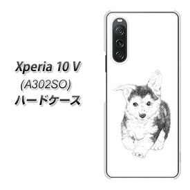SoftBank Xperia 10 V A302SO ハードケース カバー 【YJ190 コーギー 子犬 かわいい UV印刷 素材クリア】