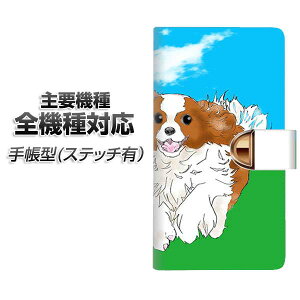 �X�}�z�P�[�X �蒠�^ �S�@��Ή� �J�[�h���[ �X�e�b�`�^�C�v �yYD887 �L���o���A�L���O�`���[���Y�X�p�j�G��03�z iPhone Air iPhone17 iPhone16 Pro MaX Xperia Ace III Google Pixel 10 Google Pixel 9a AQUOS wish5 �A��