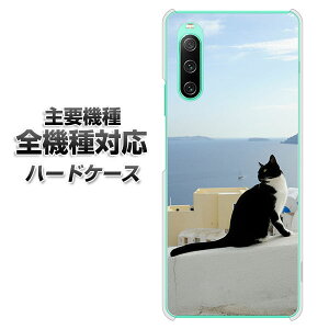 n[hP[X S@Ή X}zJo[ X}zP[X yVA805 lRƒnC f NAP[X z iPhone17 Xperia XZ XZs XZ3 XZ2 XZ1 AQUOS sense2 ANIXZX2 AQUOS R2 iPhone14 iPhone15 MNV[S9 iPhone