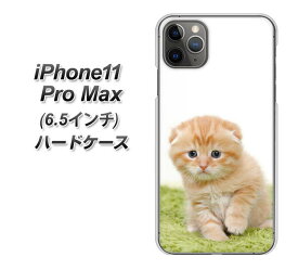 Apple iPhone11 Pro Max ハードケース / カバー【VA802 ネコこっそり 素材クリア】 UV印刷 ★高解像度版(アイフォン11 プロ マックス/IPHONE11PM/スマホケース)