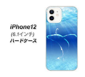 iPhone12 ハードケース カバー 【1047 海の守り神くじら UV印刷 素材クリア】
